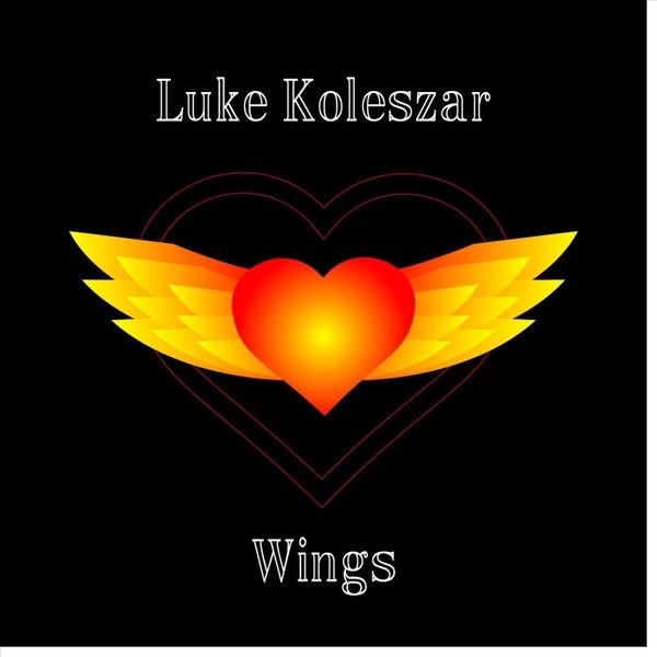 Cover art for Wings